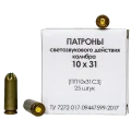 10х31 10х31